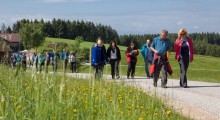 Philosophische Wanderung durch den Strudengau