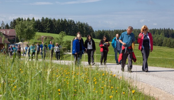 Philosophische Wanderung durch den Strudengau